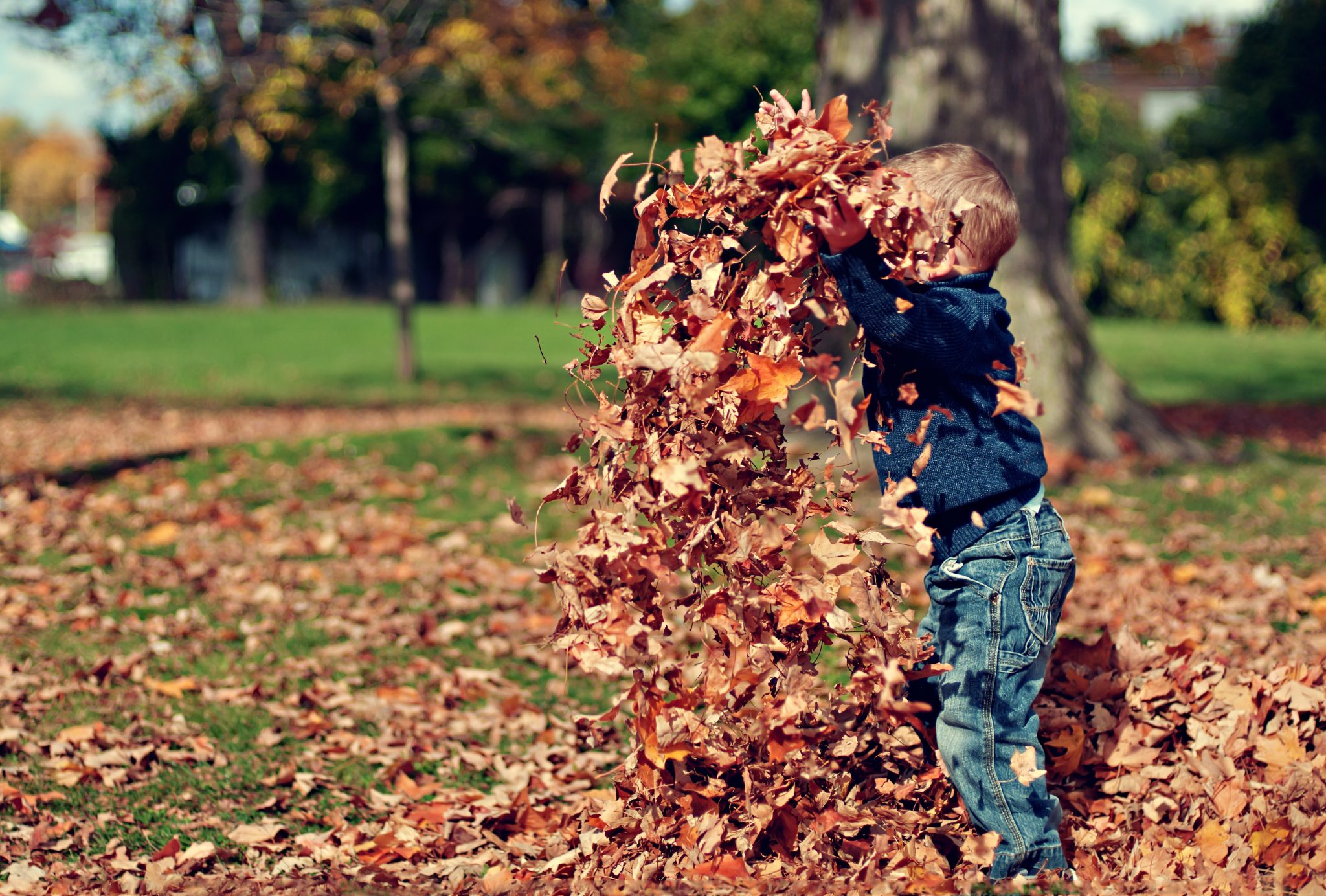 21 Free Family Fall Activities To Do With No Cost