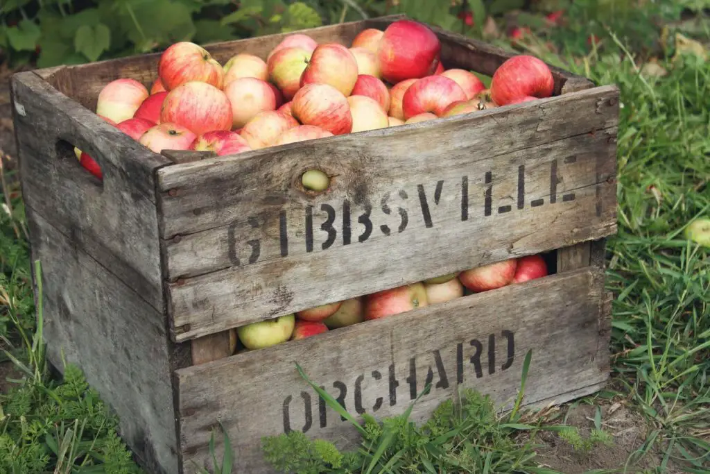 free wooden crates from local grocery stores